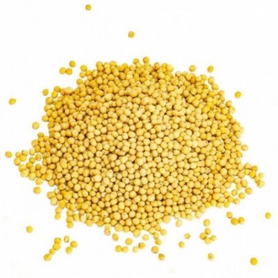 Moutarde jaune graines 500g