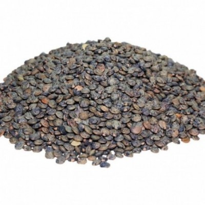 Lentilles vertes - France...