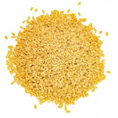 Graines de lin jaune -...