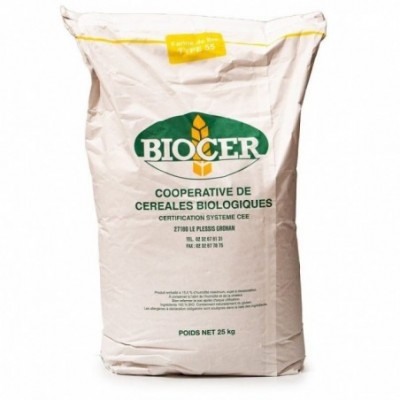 Farine de blé T55 vrac 25kg