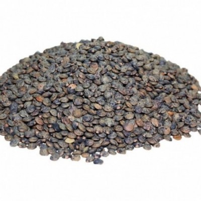 Lentilles vertes - France...