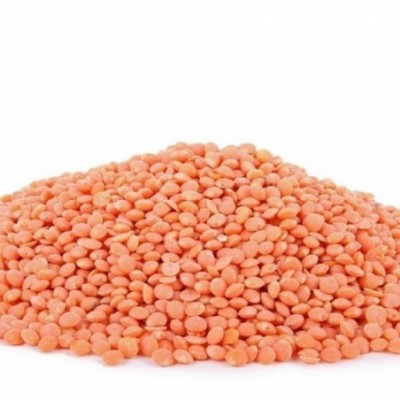 Lentilles corail - France...
