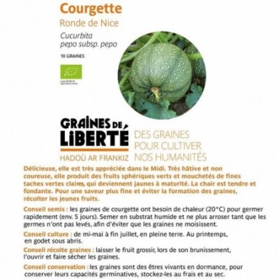 Courgette ronde de Nice -...