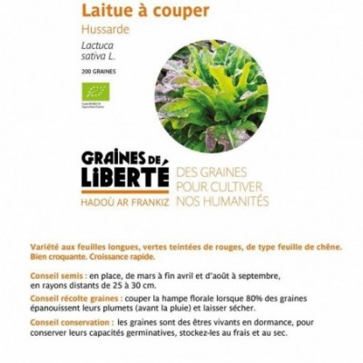 Laitue à couper Hussarde -...