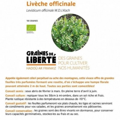 Livèche officinale - sachet...