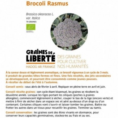 Brocolis Rasmus - sachet de...