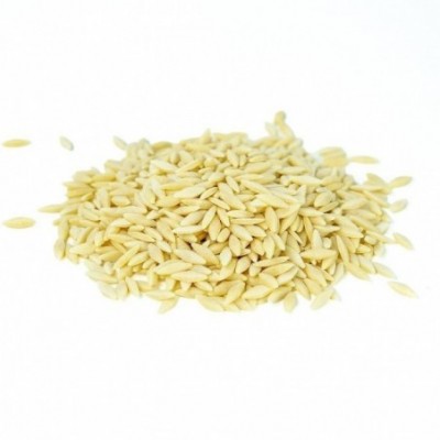 Avena - type Orzo IRIS vrac...